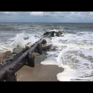 Meet your Posher, Taina